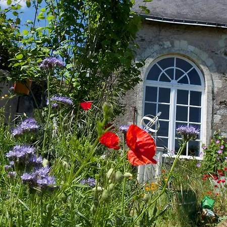 Chateau De Bois-briand Apartment Nantes